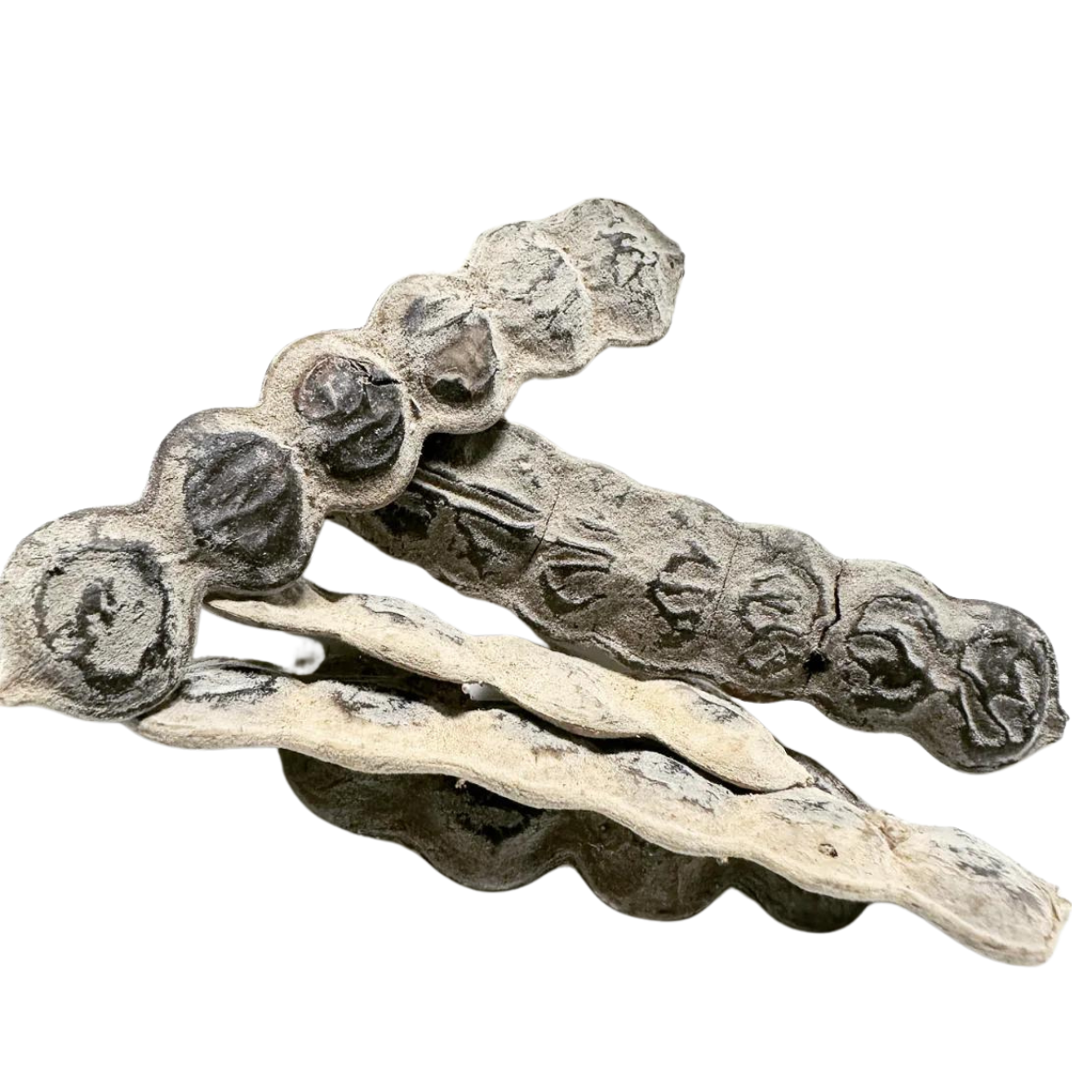 🌿 Nep Nep : Le Secret Ancestral des Femmes d'Afrique de l'Ouest 🌸