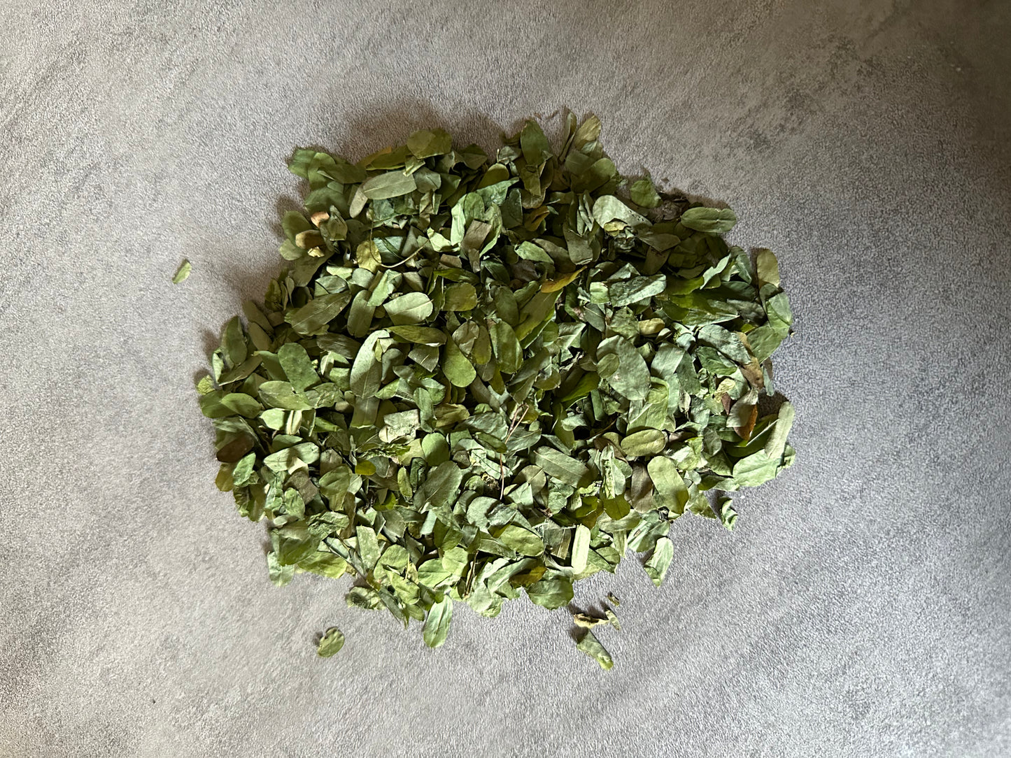 🌿 Timitimi - La Plante Médicinale Aux Bienfaits Exceptionnels 🌍