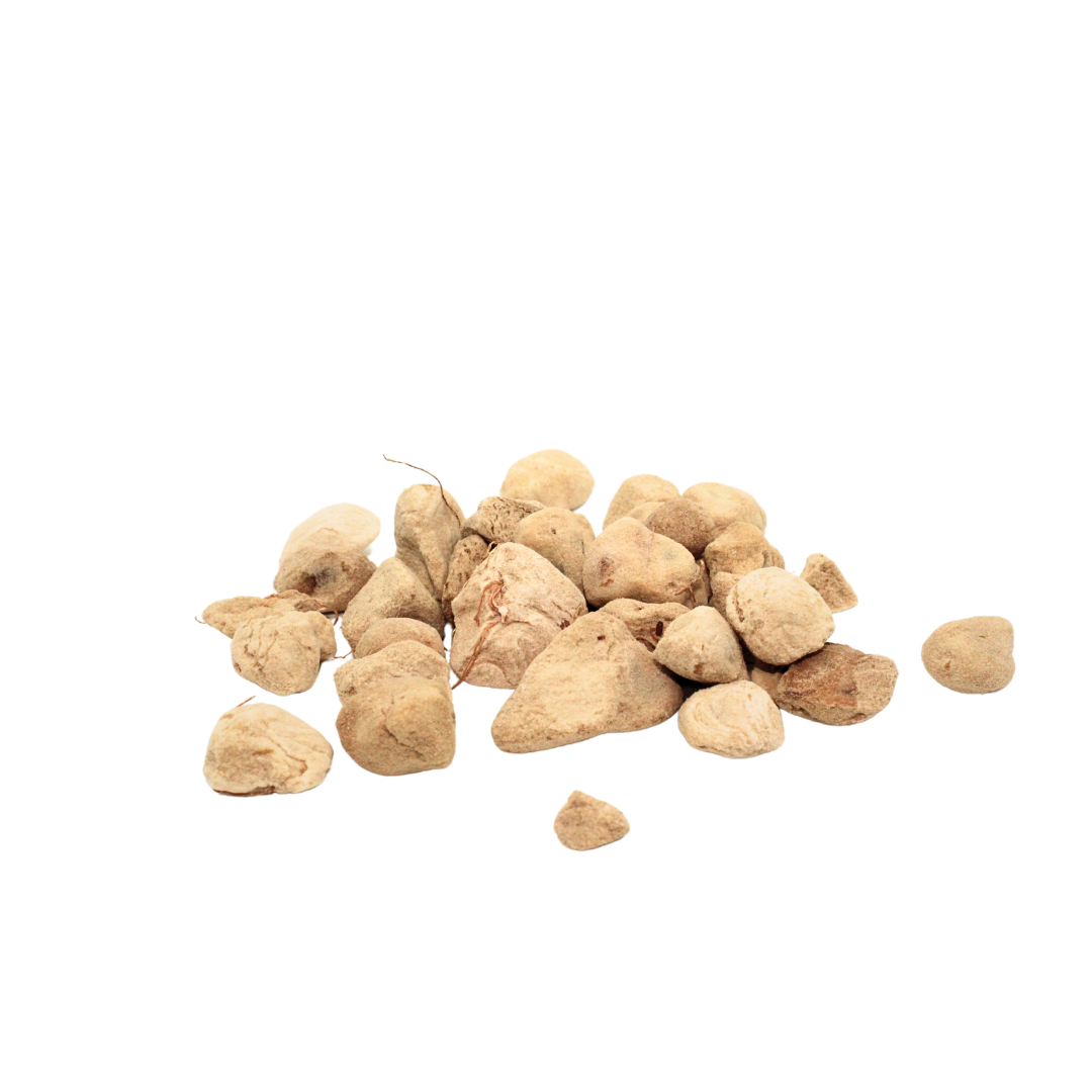 🌳 Découvrez le Fruit du Baobab Africain – Trésor Nutritionnel et Explosion de Saveurs