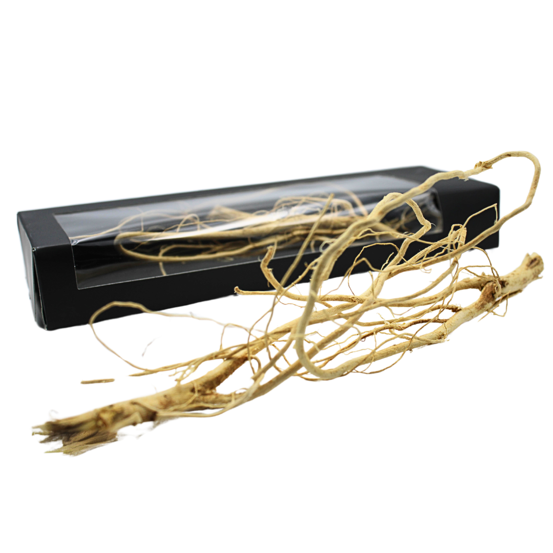 GINSENG AFRICANO PREMIUM