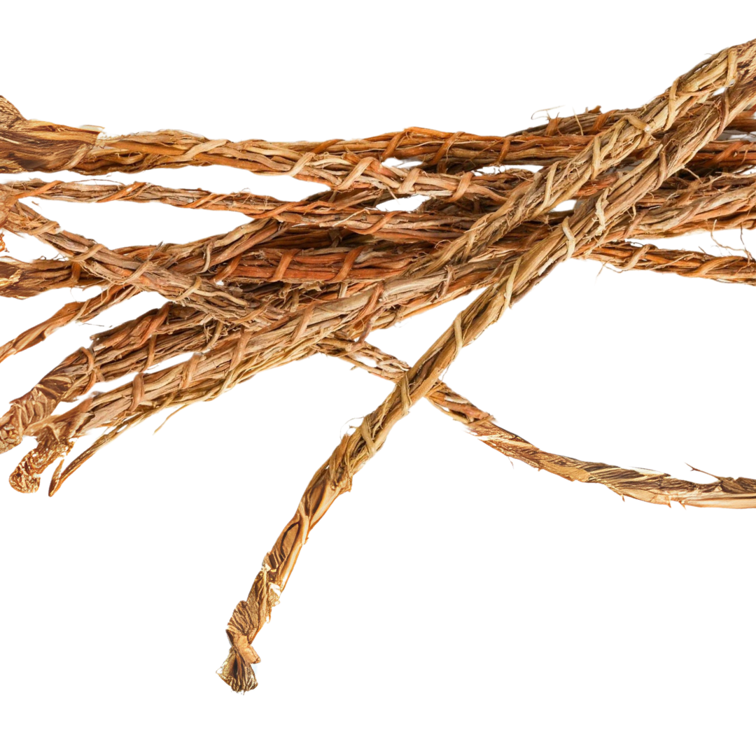 🌿 Khamaré – La Racine Aux Mille Vertus ! 🌿