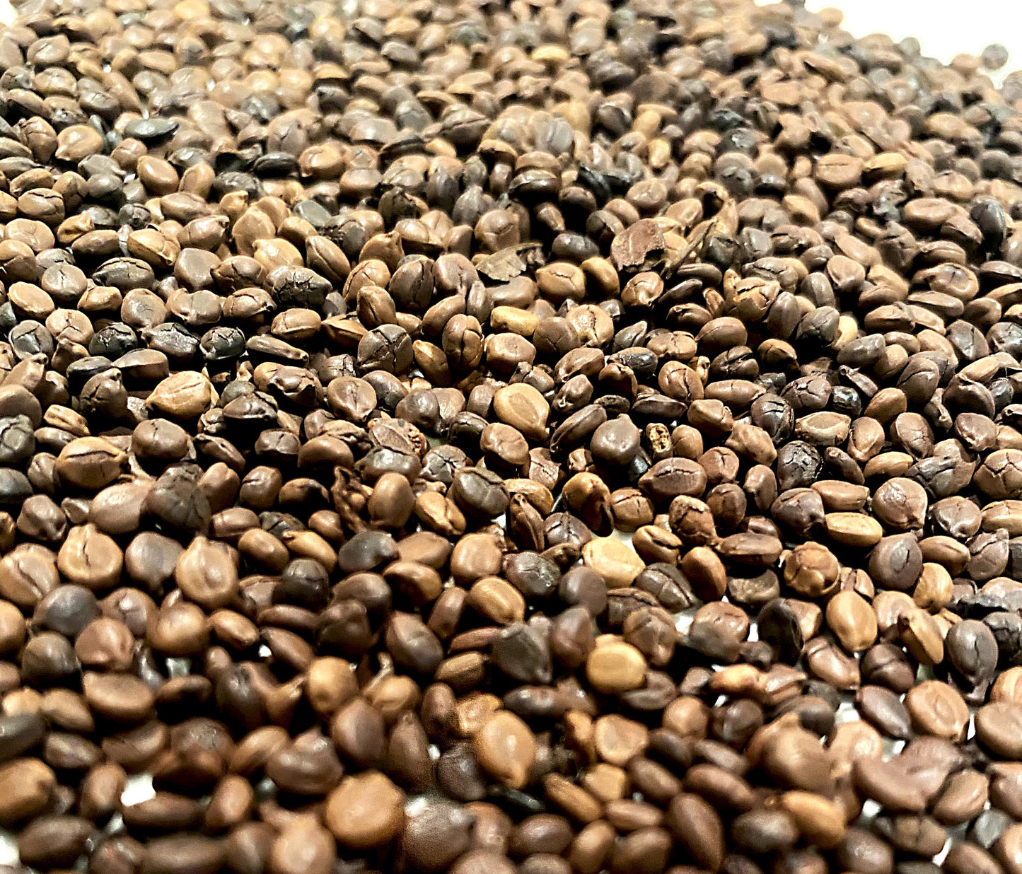 ☕ Graines de Kinkeliba – L’Alternative Naturelle et Intense au Café ! ☕